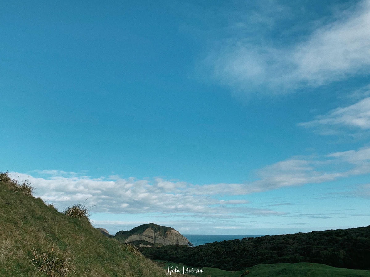 紐西蘭|南島|前進 Golden Bay 一探 Wharariki beach 和鐘乳石洞 ! - 第20張圖 Wharariki Beach