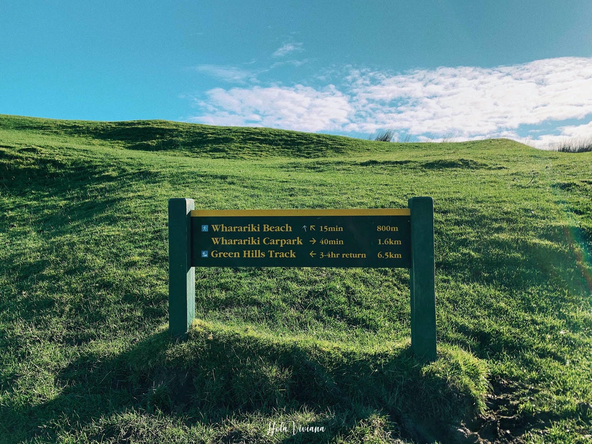 紐西蘭|南島|前進 Golden Bay 一探 Wharariki beach 和鐘乳石洞 ! - 第27張圖 Wharariki Beach