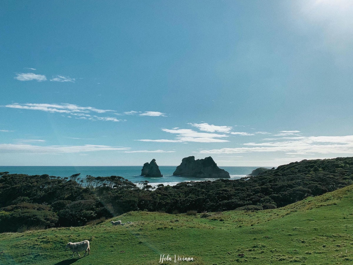 紐西蘭|南島|前進 Golden Bay 一探 Wharariki beach 和鐘乳石洞 ! - 第23張圖 Wharariki Beach