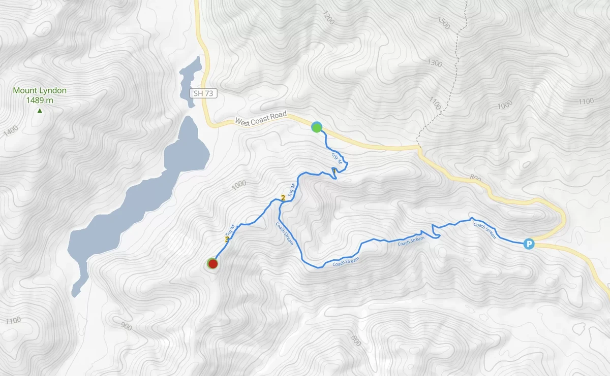紐西蘭|Trig M 步道 隱藏在73號高路上的私房步道 - 第1張圖 map of Trig M track