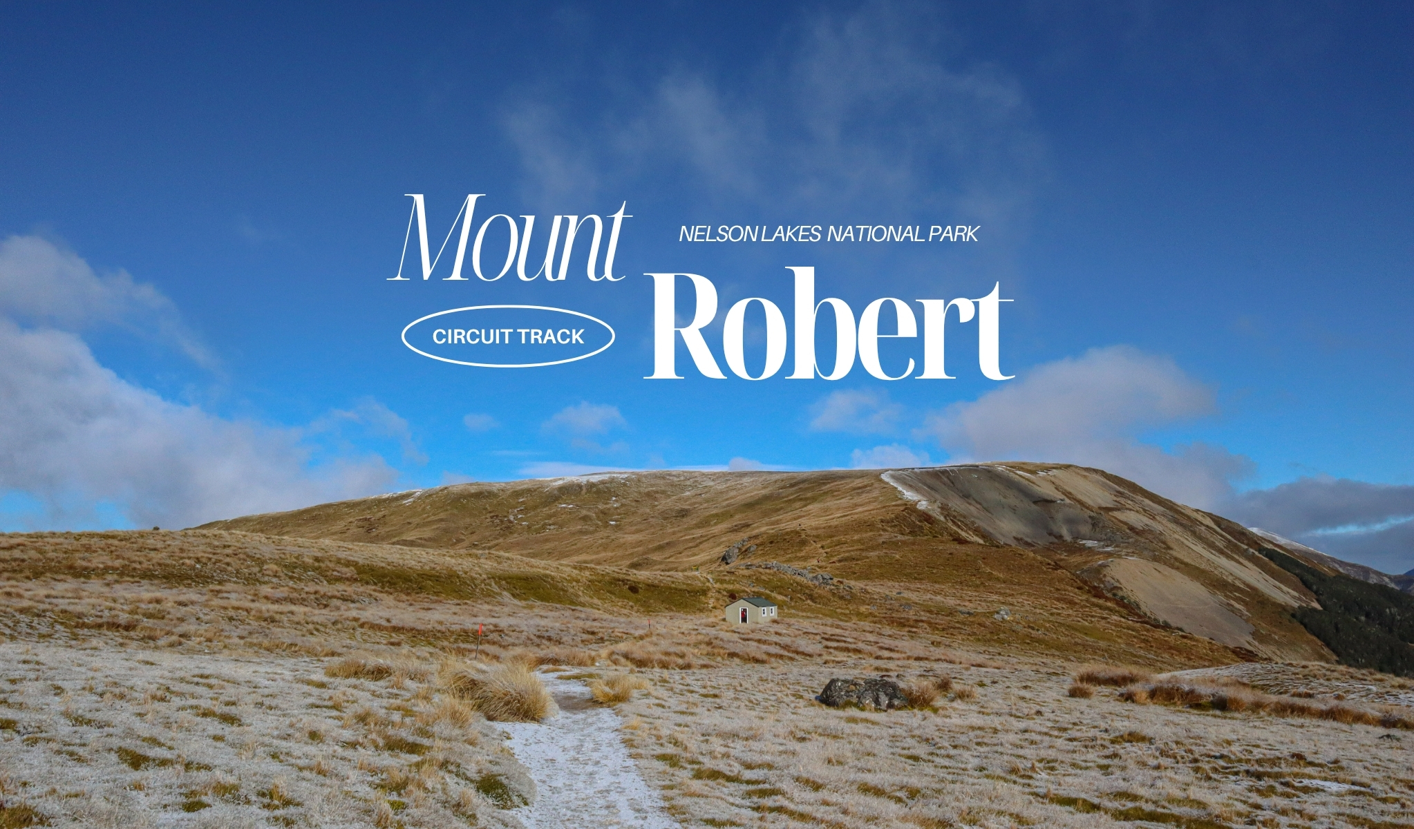 紐西蘭 Mount Robert Circuit 步道攻略