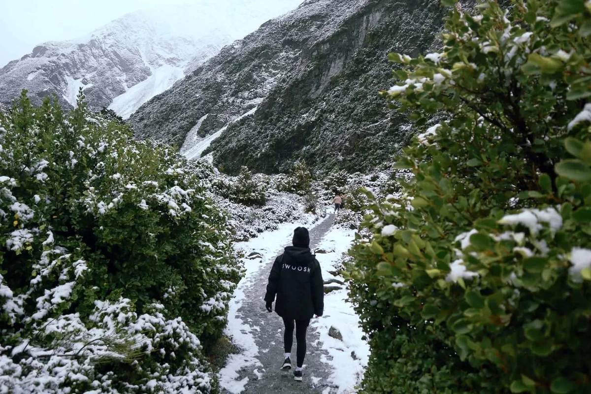 hooker valley track