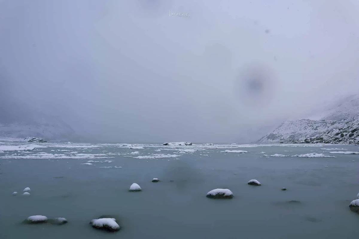 hooker valley track