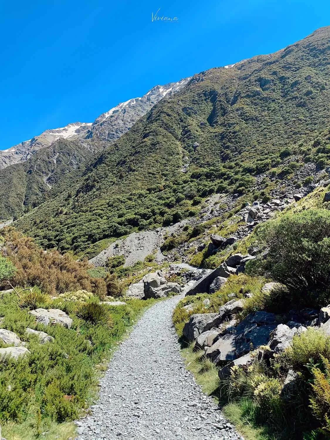 紐西蘭|庫克山 Kea Point 步道輕鬆賞大景! - 第6張圖