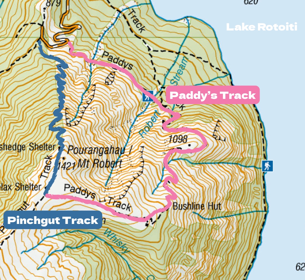 紐西蘭|Mount Robert Circuit|俯瞰 Lake Rotoiti 的半日環狀步道攻略 - 第1張圖 Mount Robert Circuit 步道地圖