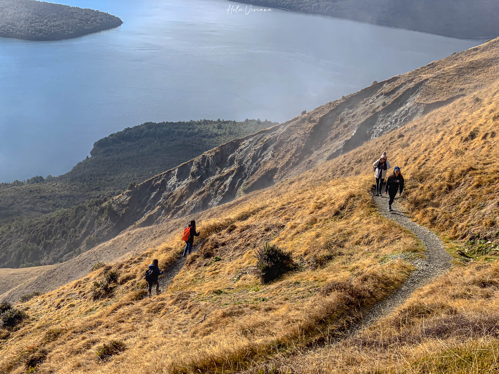 紐西蘭|Mount Robert Circuit|俯瞰 Lake Rotoiti 的半日環狀步道攻略 - 第7張圖 紐西蘭 Mount Robert Circuit 步道 Pinchgut Track