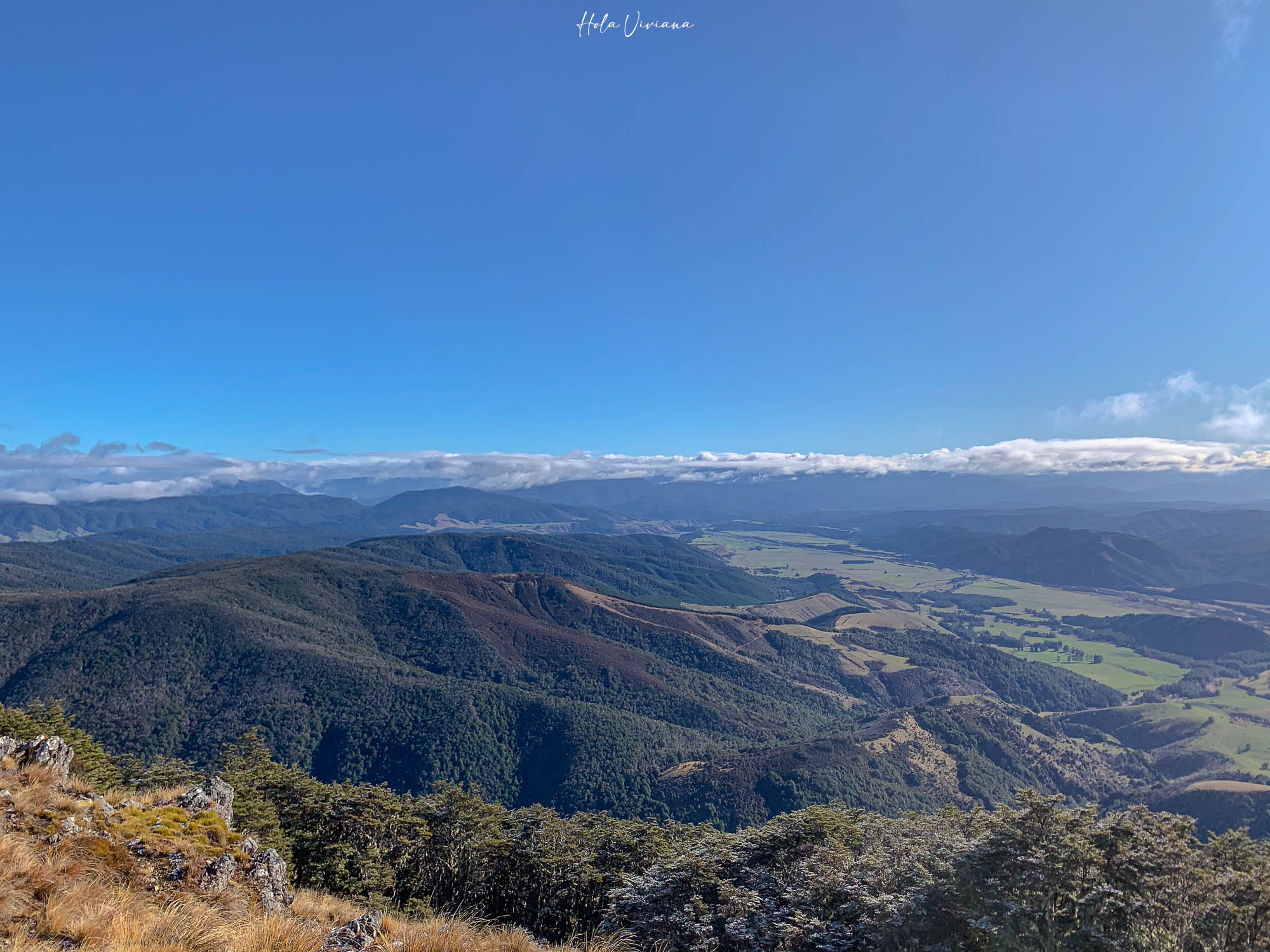 紐西蘭|Mount Robert Circuit|俯瞰 Lake Rotoiti 的半日環狀步道攻略 - 第8張圖 紐西蘭 Mount Robert Circuit 步道