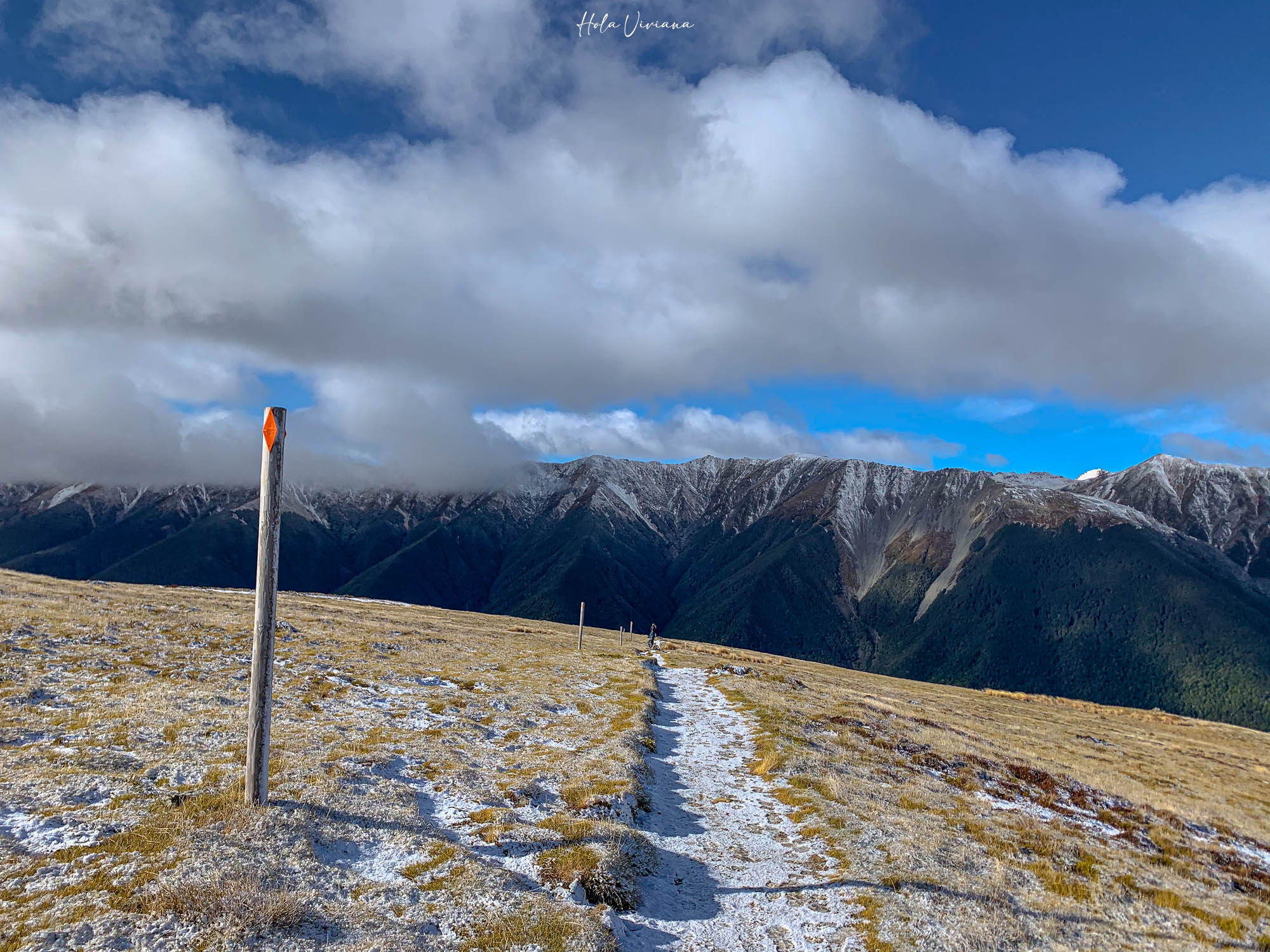 紐西蘭|Mount Robert Circuit|俯瞰 Lake Rotoiti 的半日環狀步道攻略 - 第17張圖 紐西蘭 Mount Robert Circuit 步道