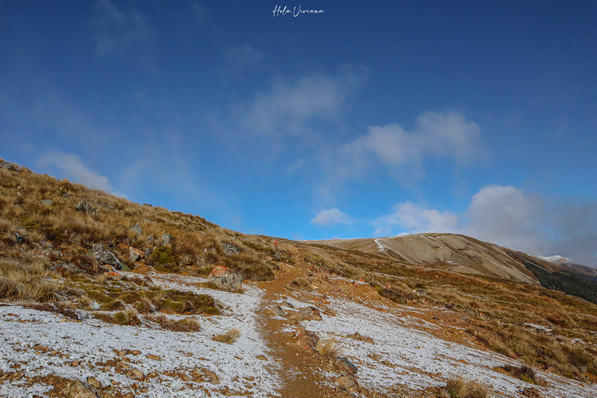 紐西蘭|Mount Robert Circuit|俯瞰 Lake Rotoiti 的半日環狀步道攻略 - 第11張圖 紐西蘭 Mount Robert Circuit 步道