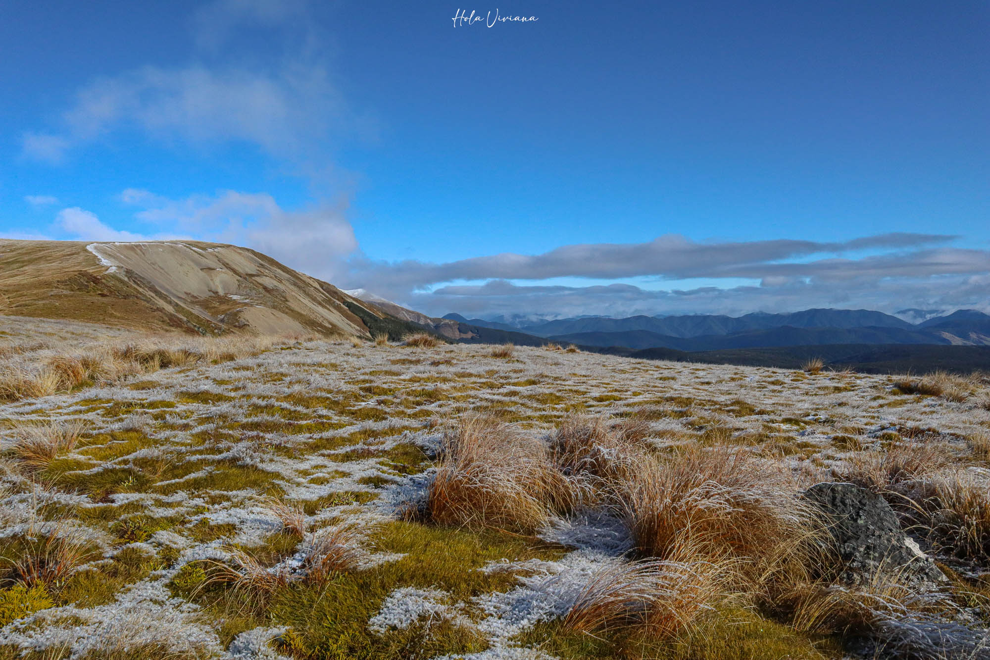 紐西蘭|Mount Robert Circuit|俯瞰 Lake Rotoiti 的半日環狀步道攻略 - 第10張圖 紐西蘭 Mount Robert Circuit 步道