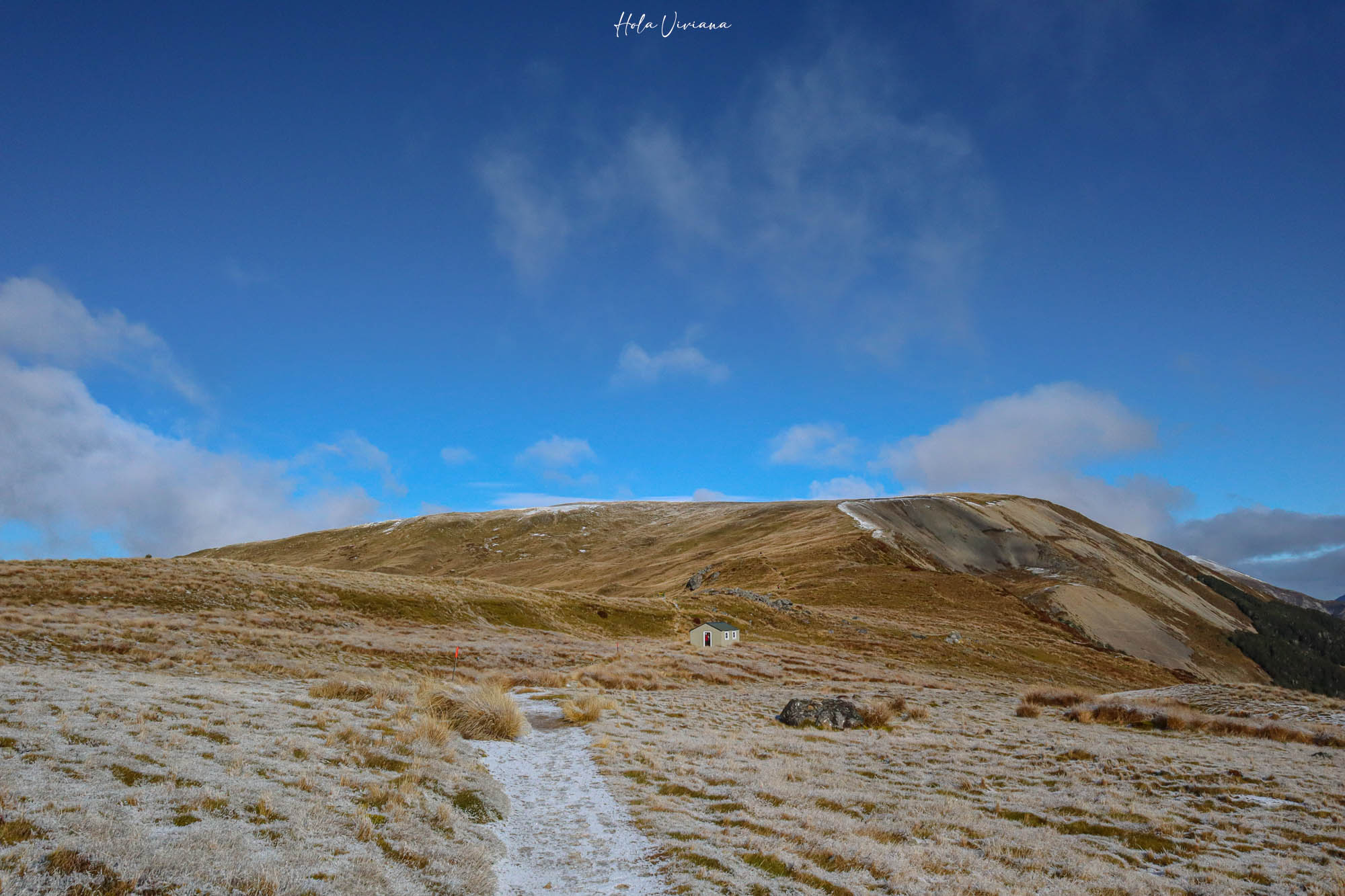 紐西蘭|Mount Robert Circuit|俯瞰 Lake Rotoiti 的半日環狀步道攻略 - 第12張圖 紐西蘭 Mount Robert Circuit 步道
