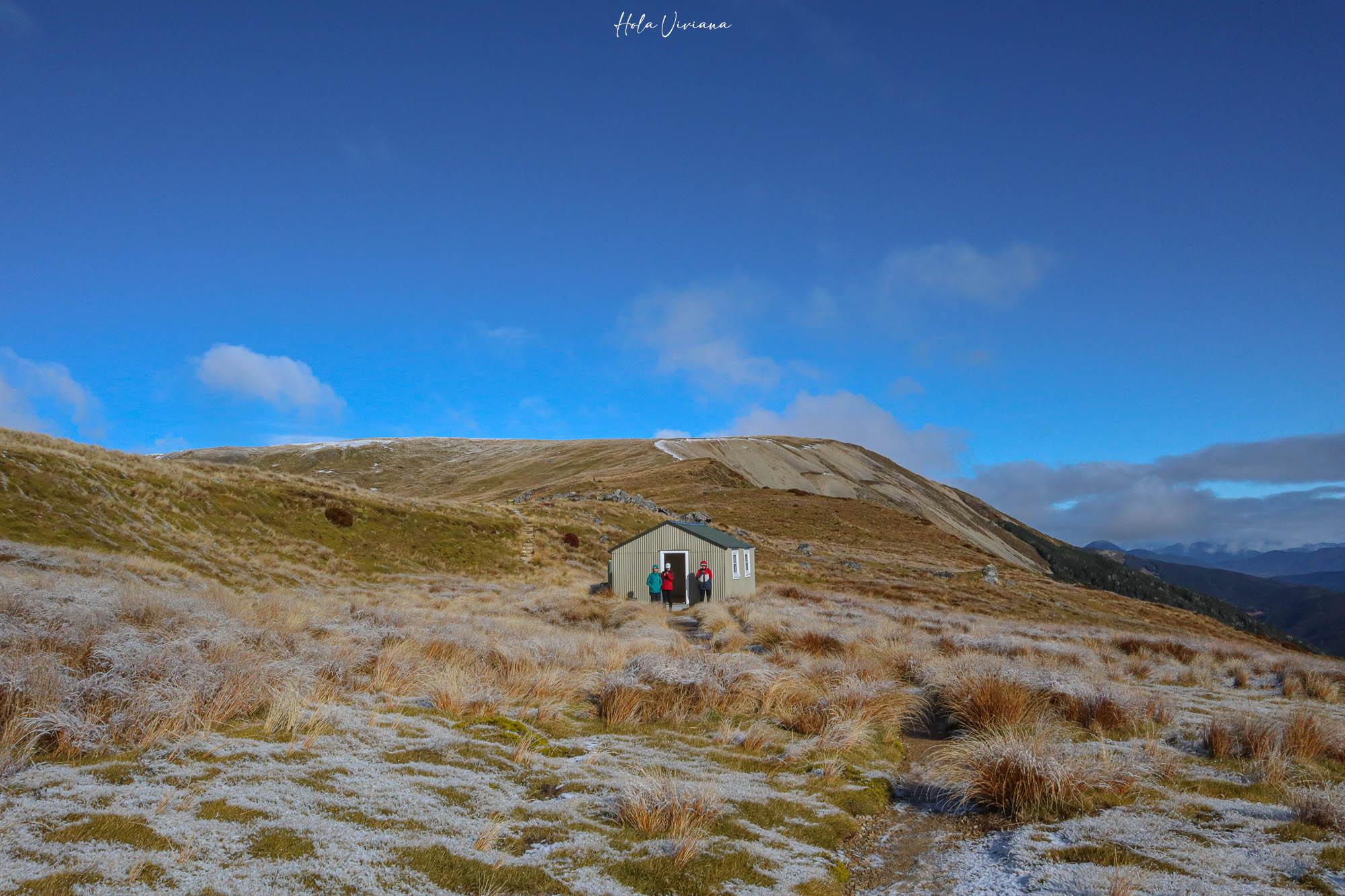 紐西蘭|Mount Robert Circuit|俯瞰 Lake Rotoiti 的半日環狀步道攻略 - 第13張圖 紐西蘭 Mount Robert Circuit 步道