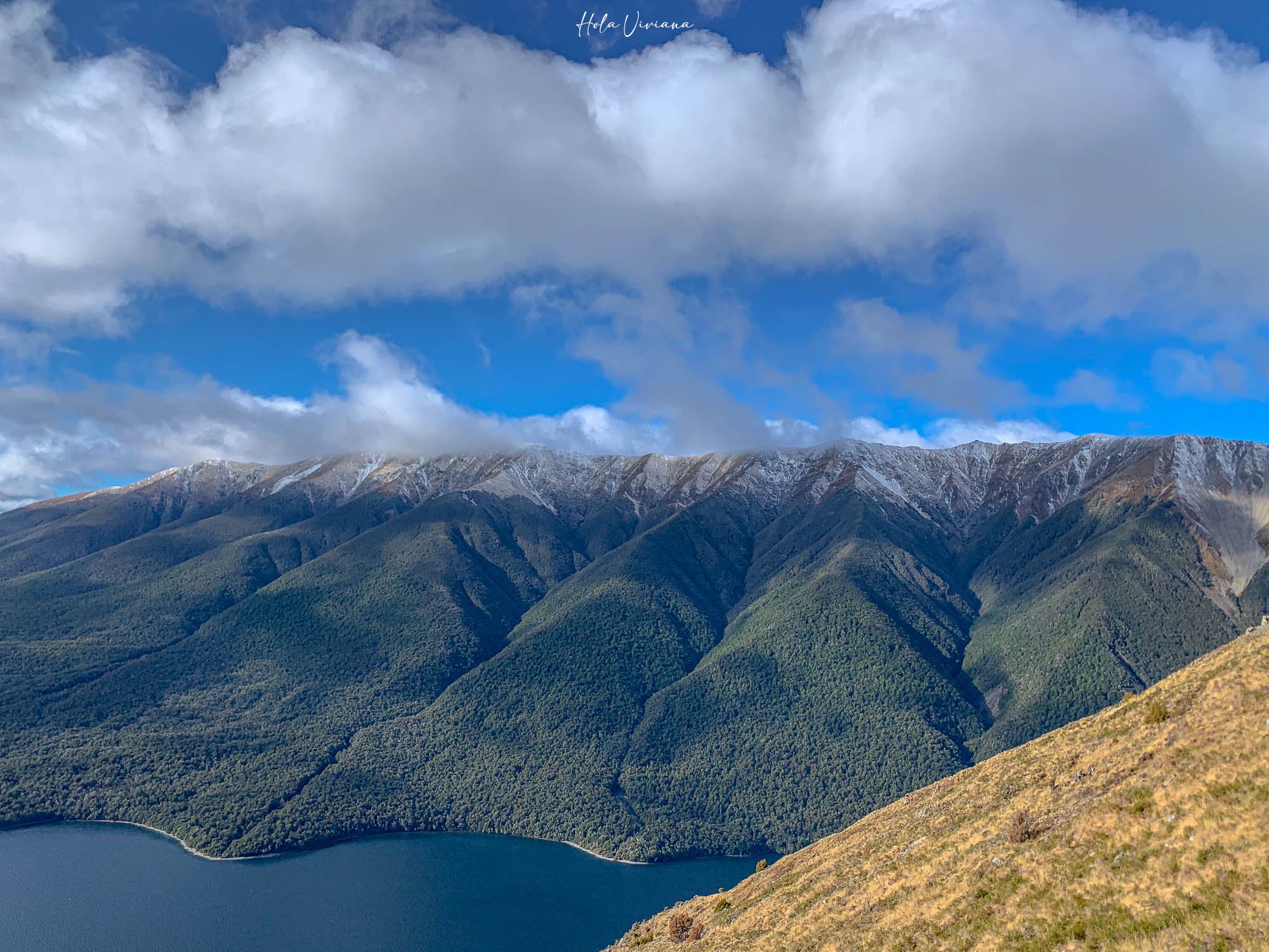 紐西蘭|Mount Robert Circuit|俯瞰 Lake Rotoiti 的半日環狀步道攻略 - 第18張圖 紐西蘭 Mount Robert Circuit 步道