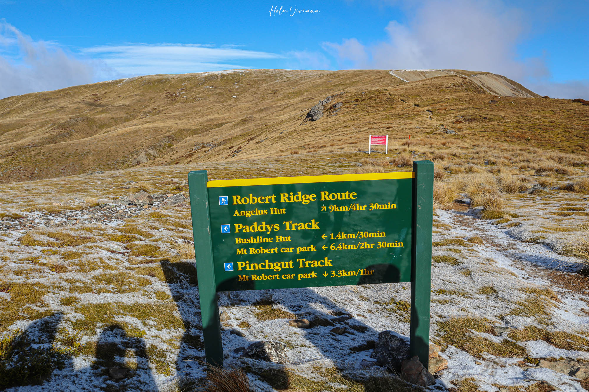 紐西蘭|Mount Robert Circuit|俯瞰 Lake Rotoiti 的半日環狀步道攻略 - 第14張圖 紐西蘭 Mount Robert Circuit 步道