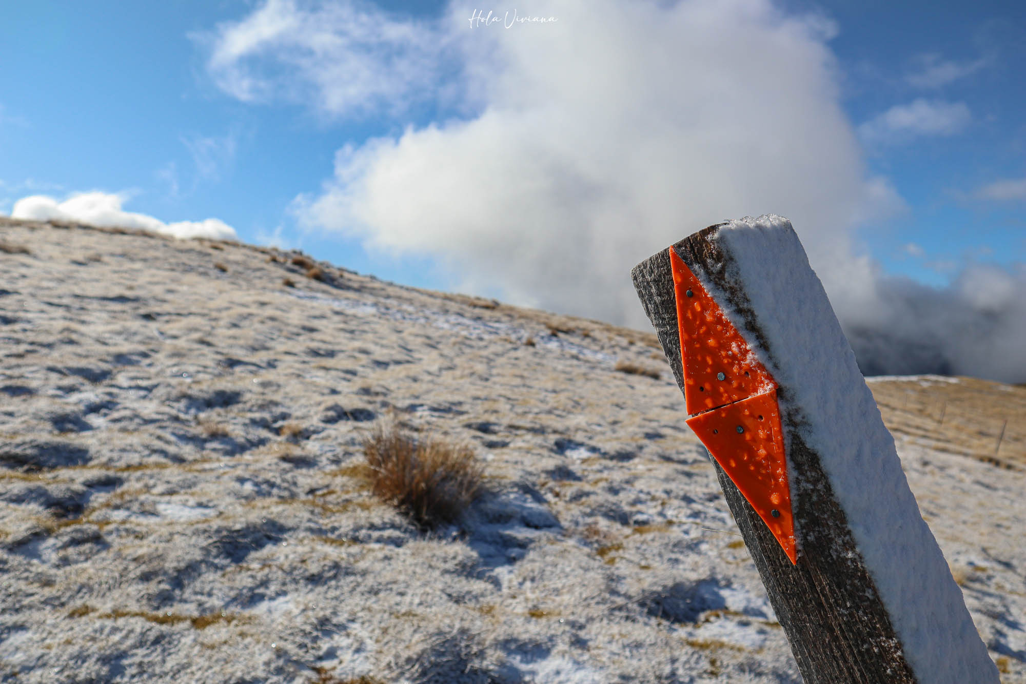 紐西蘭|Mount Robert Circuit|俯瞰 Lake Rotoiti 的半日環狀步道攻略 - 第15張圖 紐西蘭 Mount Robert Circuit 步道