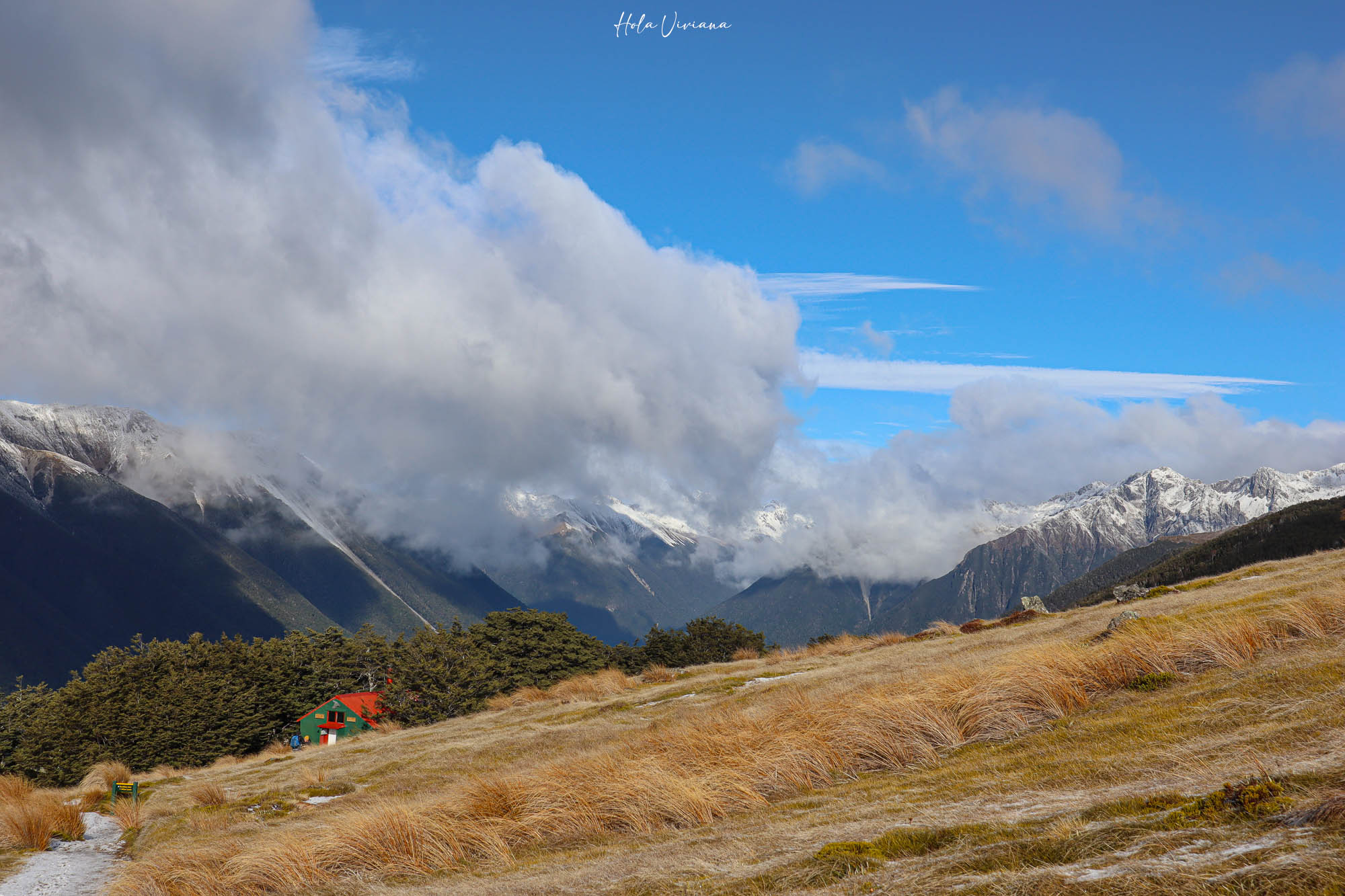 紐西蘭|Mount Robert Circuit|俯瞰 Lake Rotoiti 的半日環狀步道攻略 - 第19張圖 紐西蘭 Mount Robert Circuit 步道