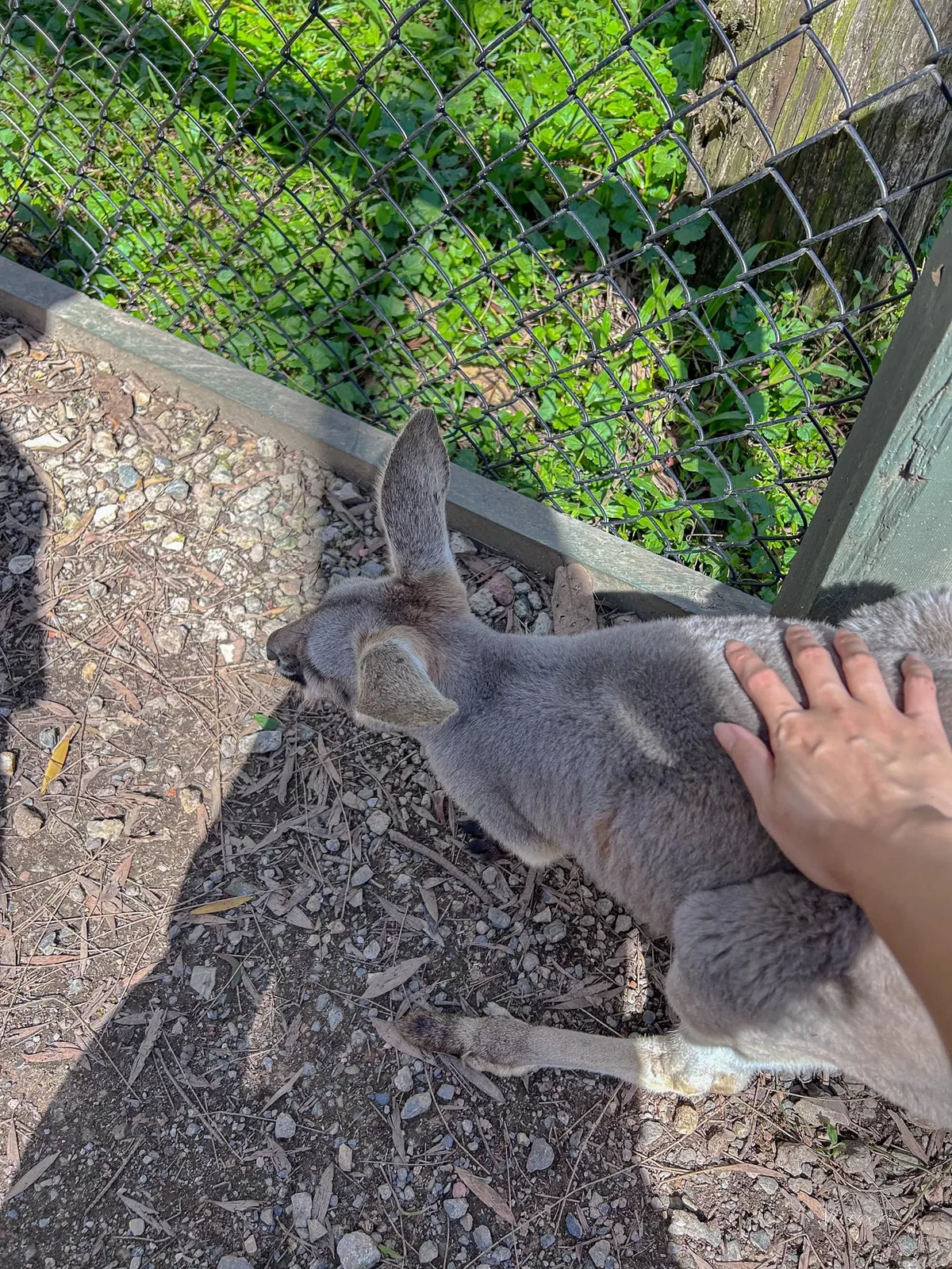 可倫賓野生動物保護區