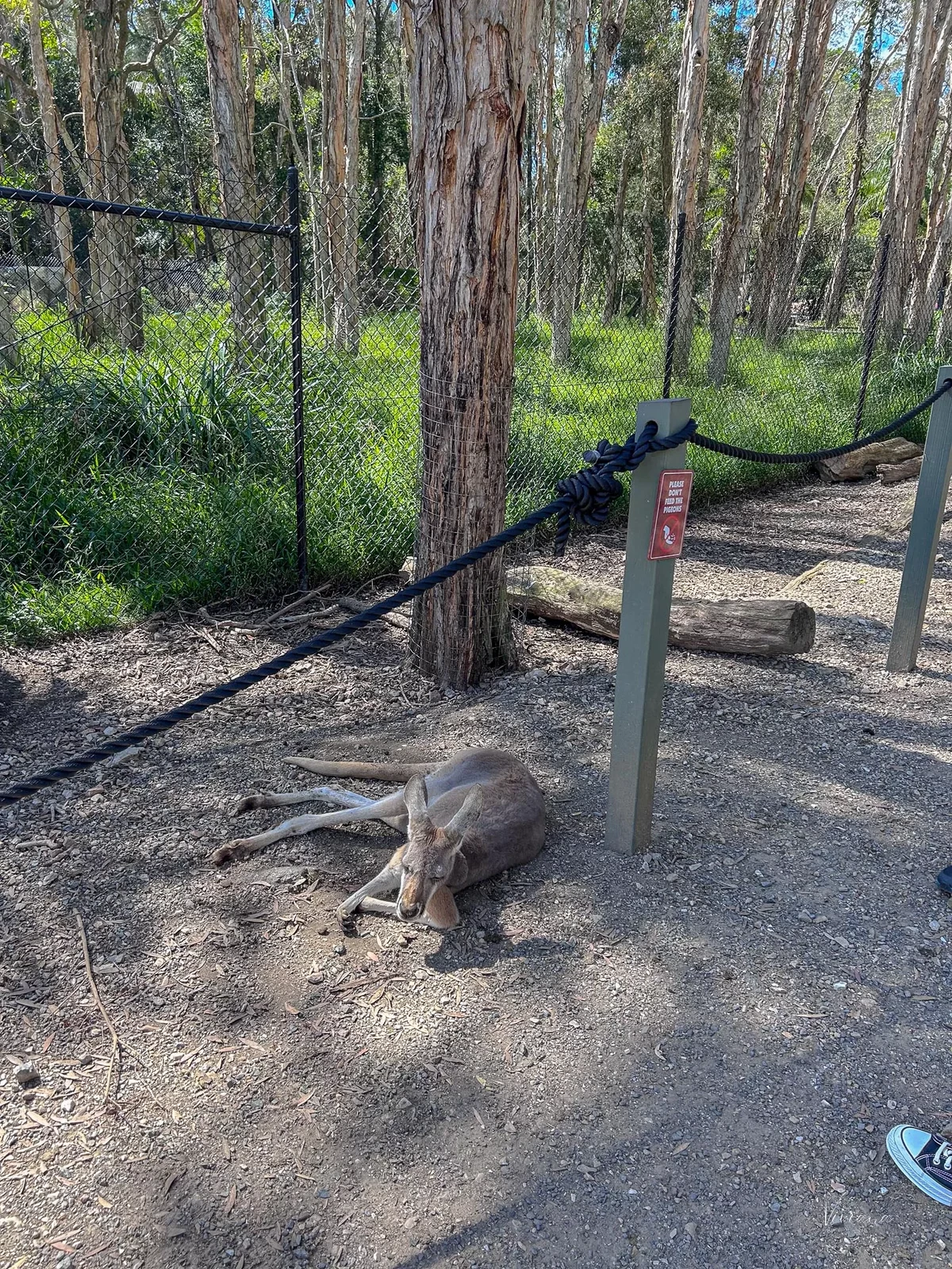 可倫賓野生動物保護區