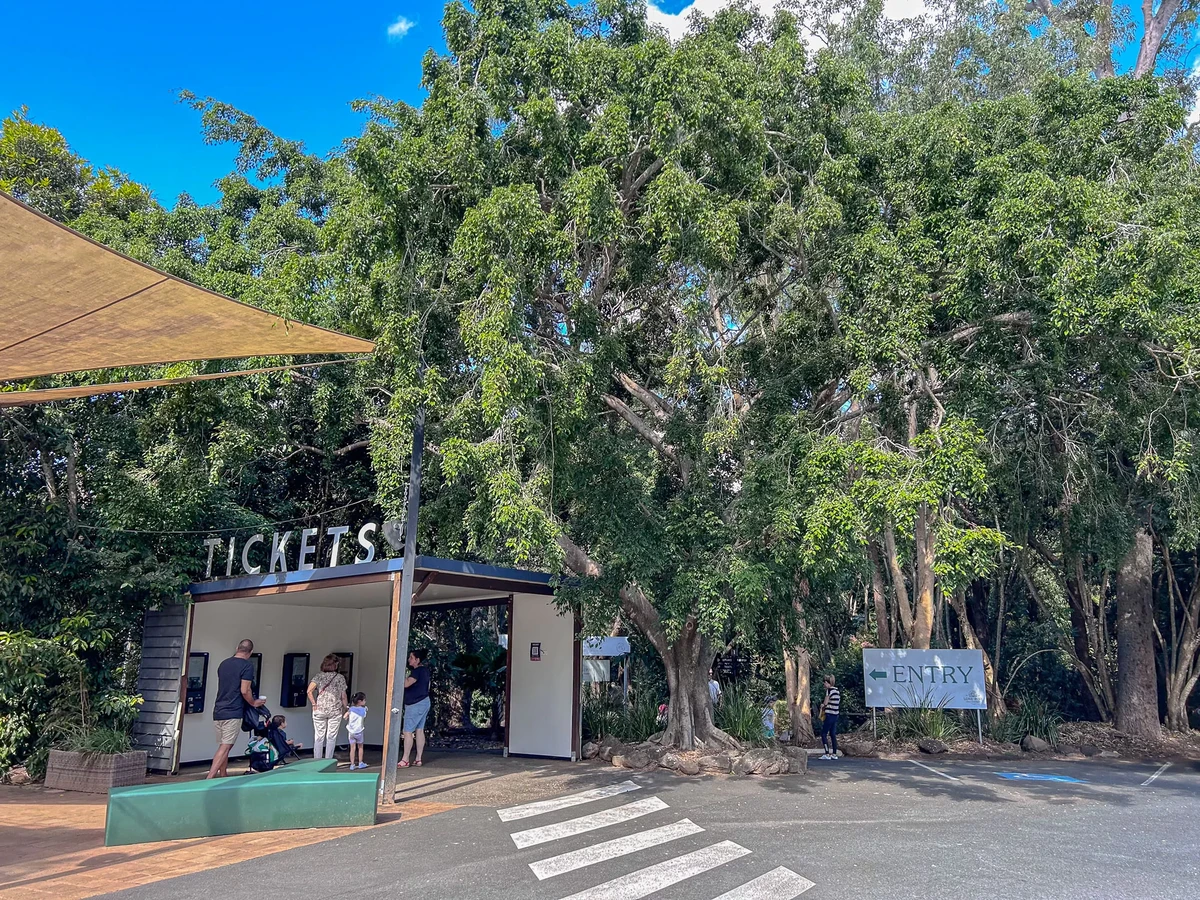 澳洲|昆士蘭|來去布里斯本看無尾熊!龍柏動物園 Lone Pine Koala Sanctuary - 第8張圖 龍柏動物園