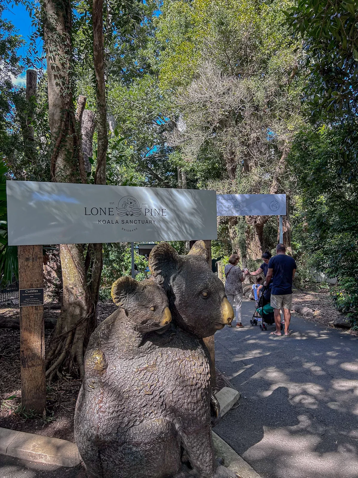 澳洲|昆士蘭|來去布里斯本看無尾熊!龍柏動物園 Lone Pine Koala Sanctuary - 第6張圖 龍柏動物園