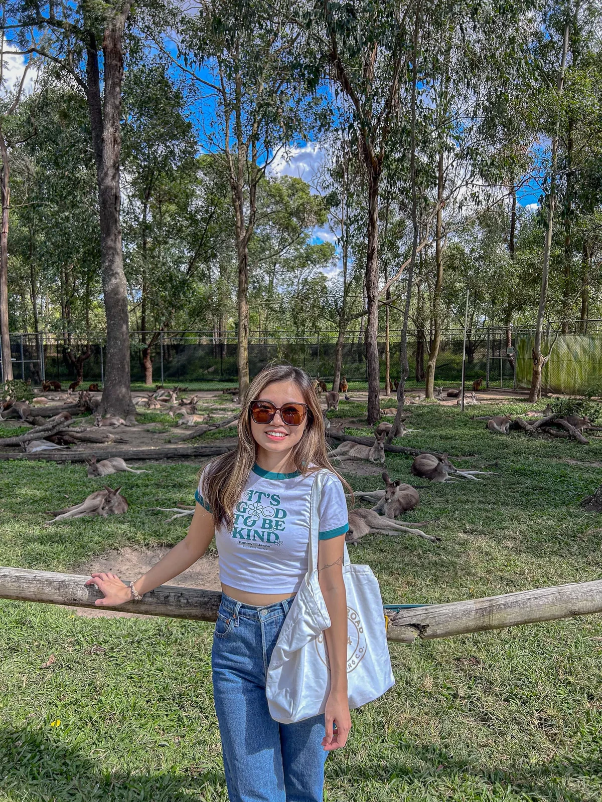澳洲|昆士蘭|來去布里斯本看無尾熊!龍柏動物園 Lone Pine Koala Sanctuary - 第17張圖