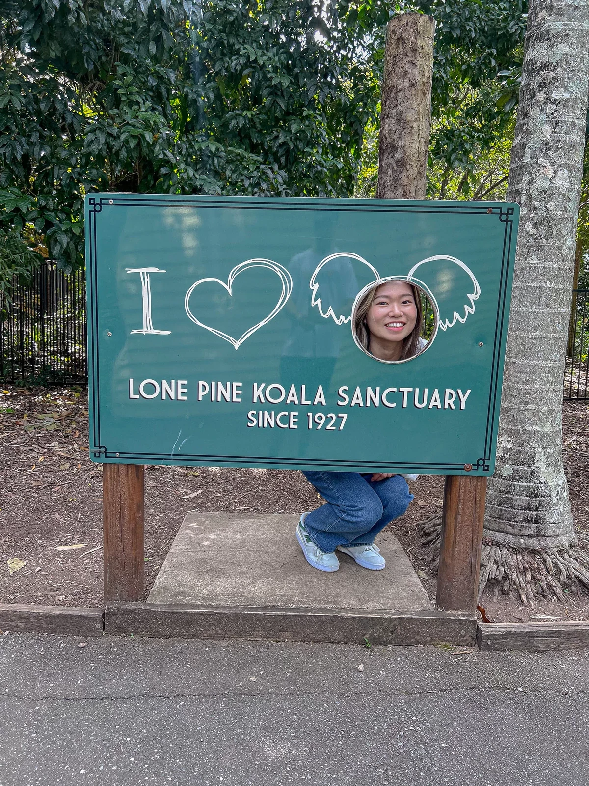 澳洲|昆士蘭|來去布里斯本看無尾熊!龍柏動物園 Lone Pine Koala Sanctuary - 第32張圖