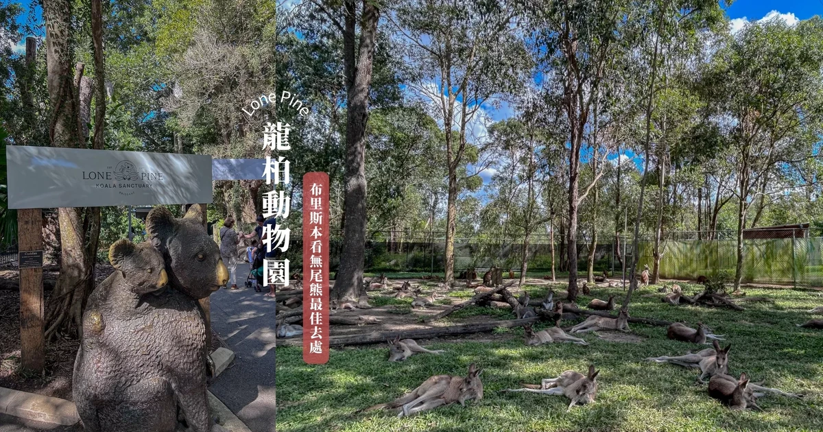 龍柏動物園