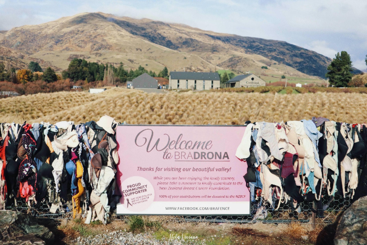 紐西蘭|瓦納卡 Wanaka|南島度假小鎮攻略、懶人包 - 第12張圖 Cardorna Bra Fence 胸罩圍牆
