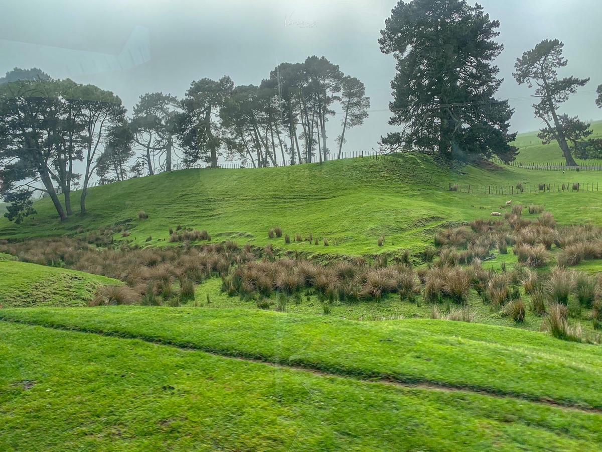 Hobbiton 哈比村農場風景