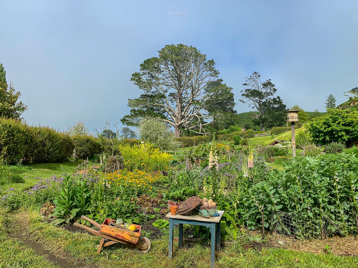 Hobbiton 哈比村