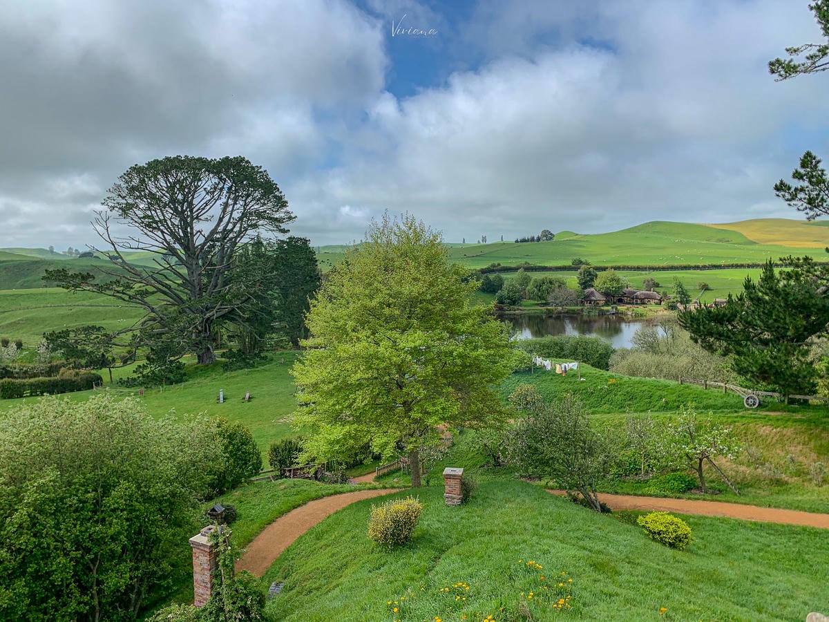 紐西蘭 哈比村 hobbiton