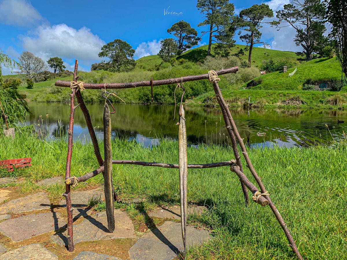 Hobbiton 哈比村 綠龍酒館