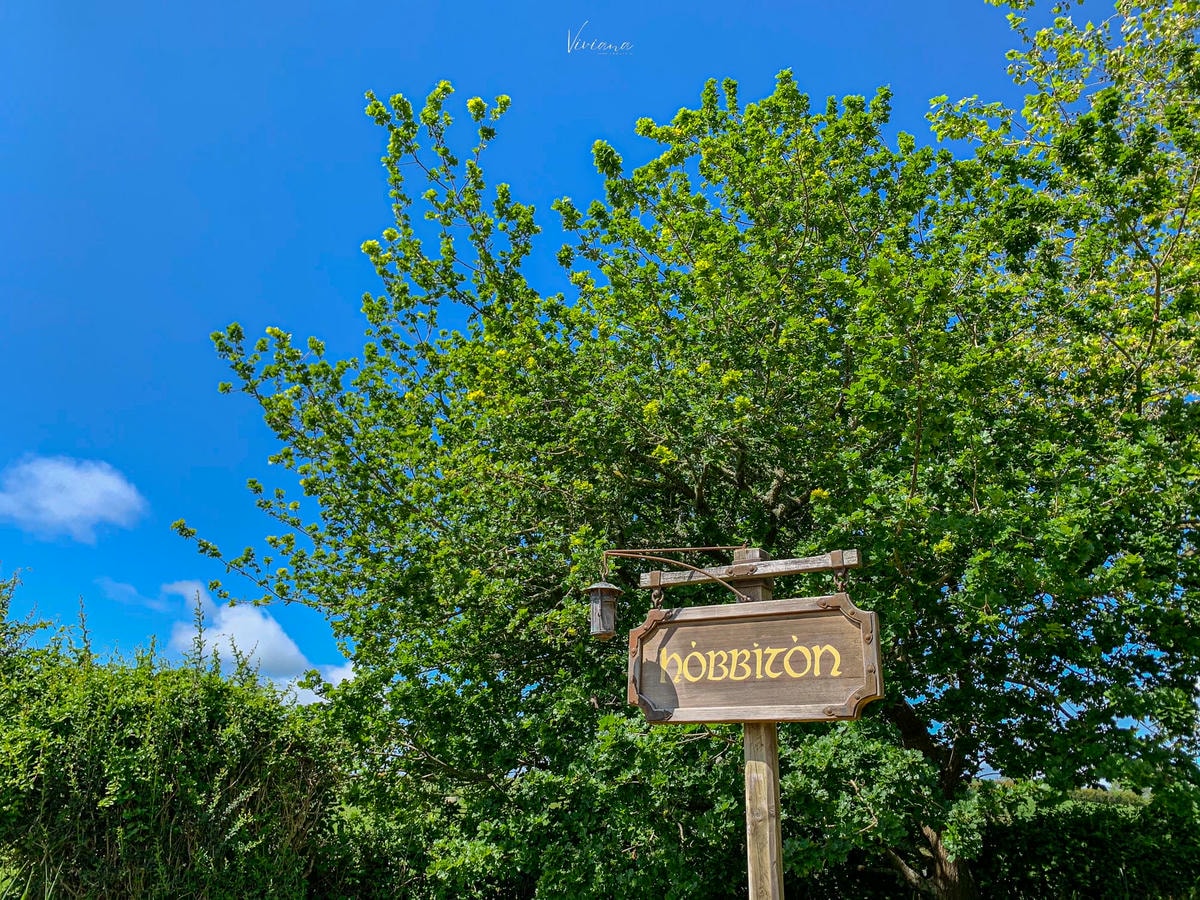 紐西蘭 魔戒景點 Hobbiton 哈比村 