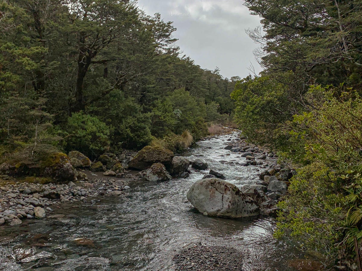 紐西蘭|湯加里羅國家公園健行推薦:Taranaki Falls & Tama Lakes 路線完整攻略 - 第3張圖 湯加里羅國家公園步道|Taranaki Falls and Tama Lakes Track