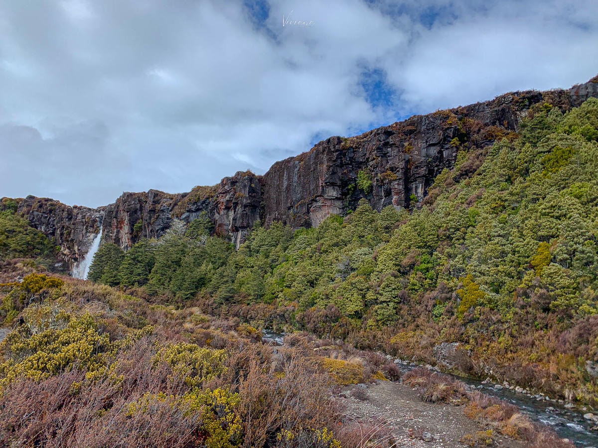 紐西蘭|湯加里羅國家公園健行推薦:Taranaki Falls & Tama Lakes 路線完整攻略 - 第5張圖 Taranaki Falls Track 我們是選擇從lower track 開始,步道前段有一部分是在樹林中,所以即使當天吹大風也沒感覺到,但一出樹林就開始感受到風的威力。