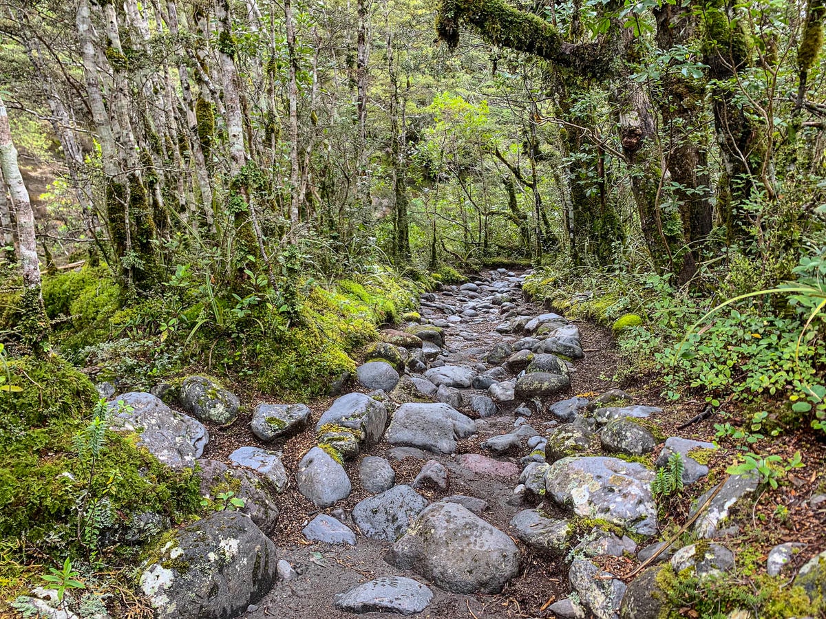 紐西蘭|湯加里羅國家公園健行推薦:Taranaki Falls & Tama Lakes 路線完整攻略 - 第4張圖 湯加里羅國家公園步道|Taranaki Falls and Tama Lakes Track