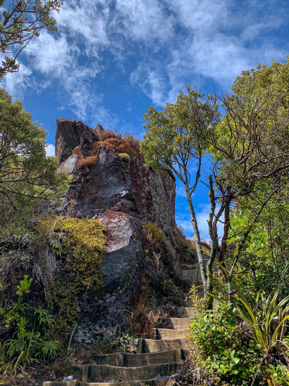紐西蘭|湯加里羅國家公園健行推薦:Taranaki Falls & Tama Lakes 路線完整攻略 - 第9張圖 湯加里羅國家公園步道|Taranaki Falls and Tama Lakes Track