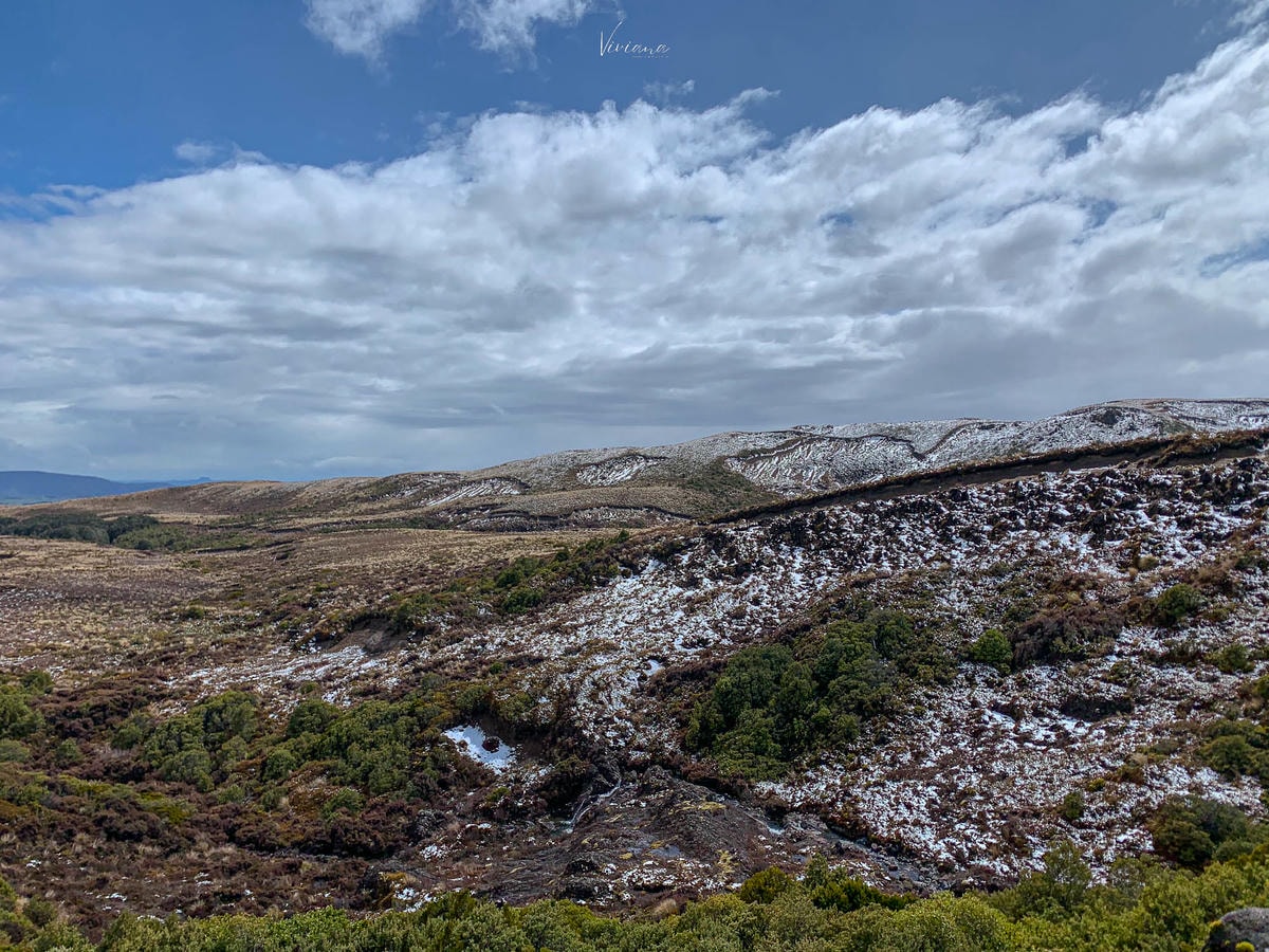 紐西蘭|湯加里羅國家公園健行推薦:Taranaki Falls & Tama Lakes 路線完整攻略 - 第11張圖 湯加里羅國家公園步道|Taranaki Falls and Tama Lakes Track