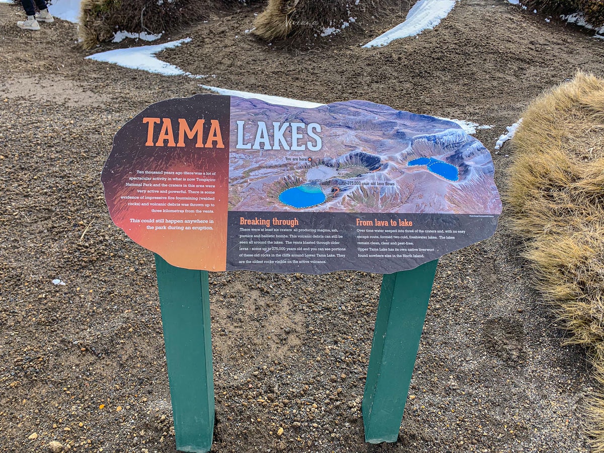 紐西蘭|湯加里羅國家公園健行推薦:Taranaki Falls & Tama Lakes 路線完整攻略 - 第22張圖 湯加里羅國家公園步道|Taranaki Falls and Tama Lakes Track