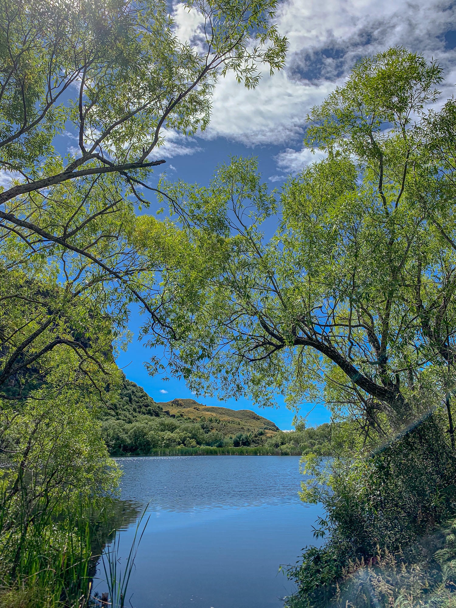 紐西蘭|Diamond Lake 步道怎麼走?瓦納卡親民步道你不能錯過! - 第11張圖 瓦納卡 diamond lake 步道