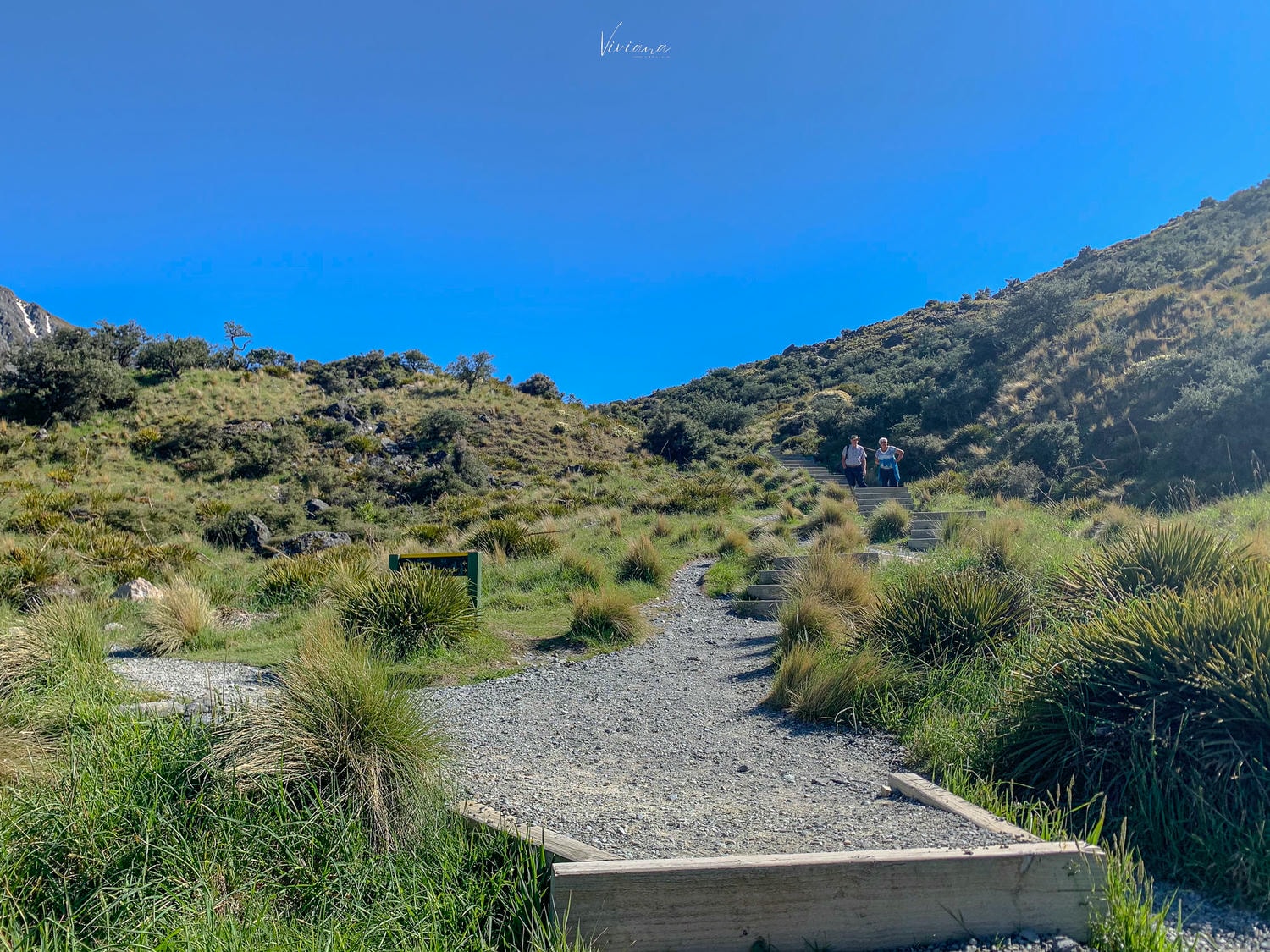 庫克山步道｜Blue Lakes and Tasman Glacier 步道