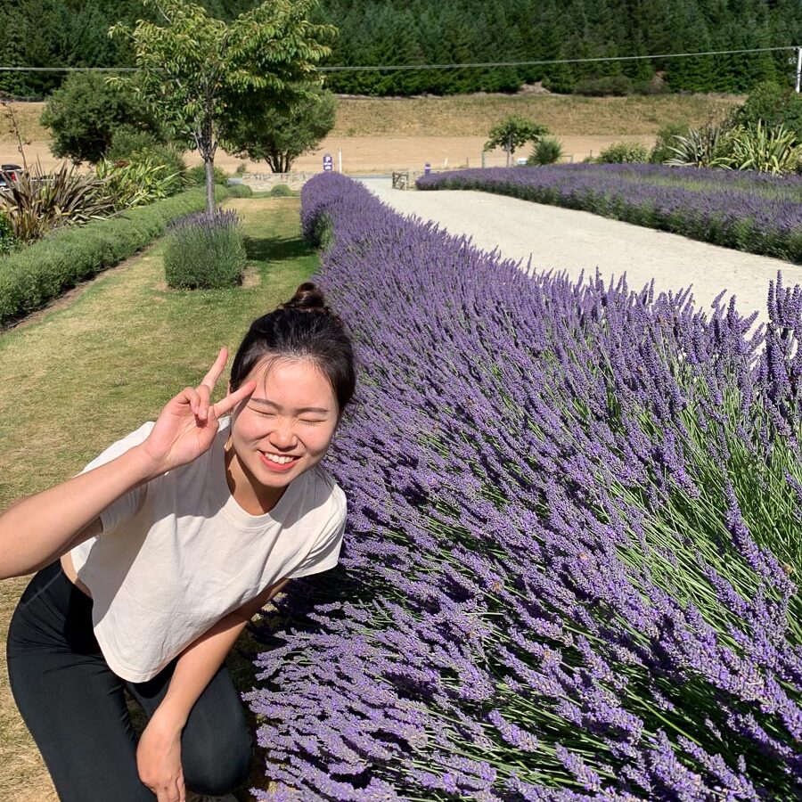 wanaka lavender farm 瓦納卡薰衣草農場