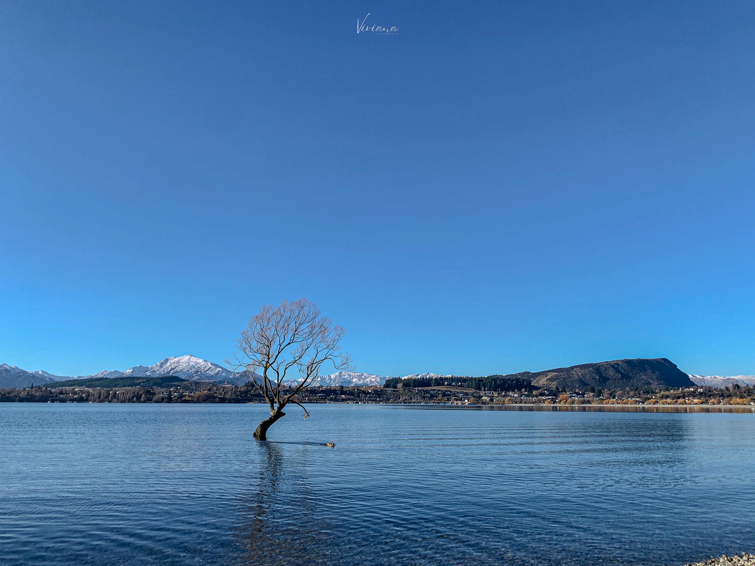 Lake Wānaka 瓦納卡湖