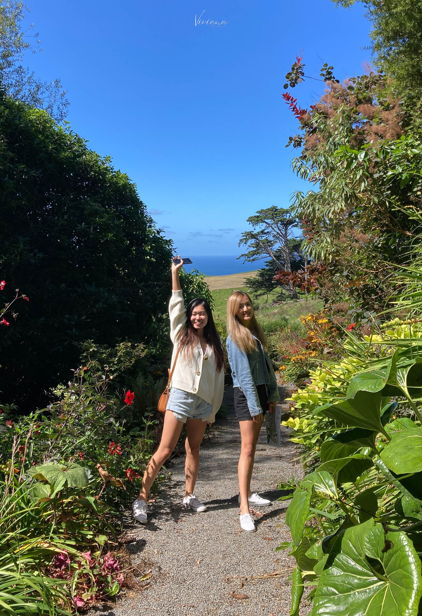 fishermans bay garden 紐西蘭
