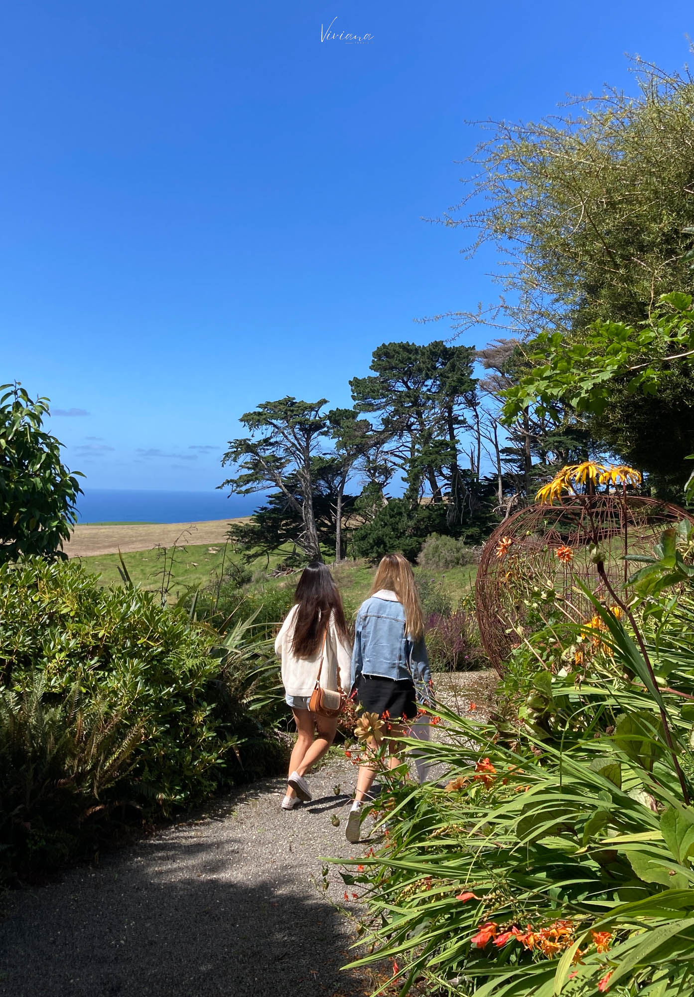 fishermans bay garden 紐西蘭