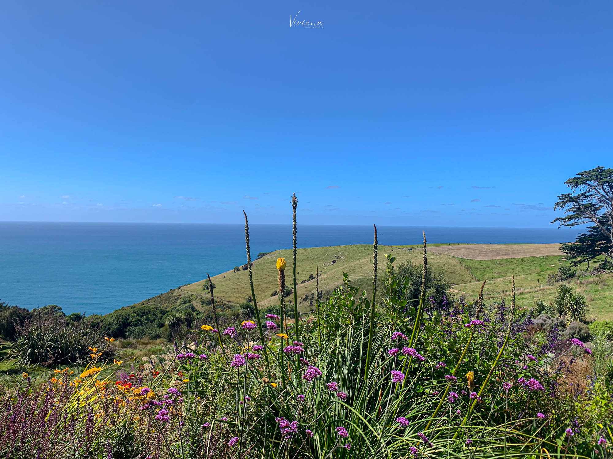 fishermans bay garden 紐西蘭