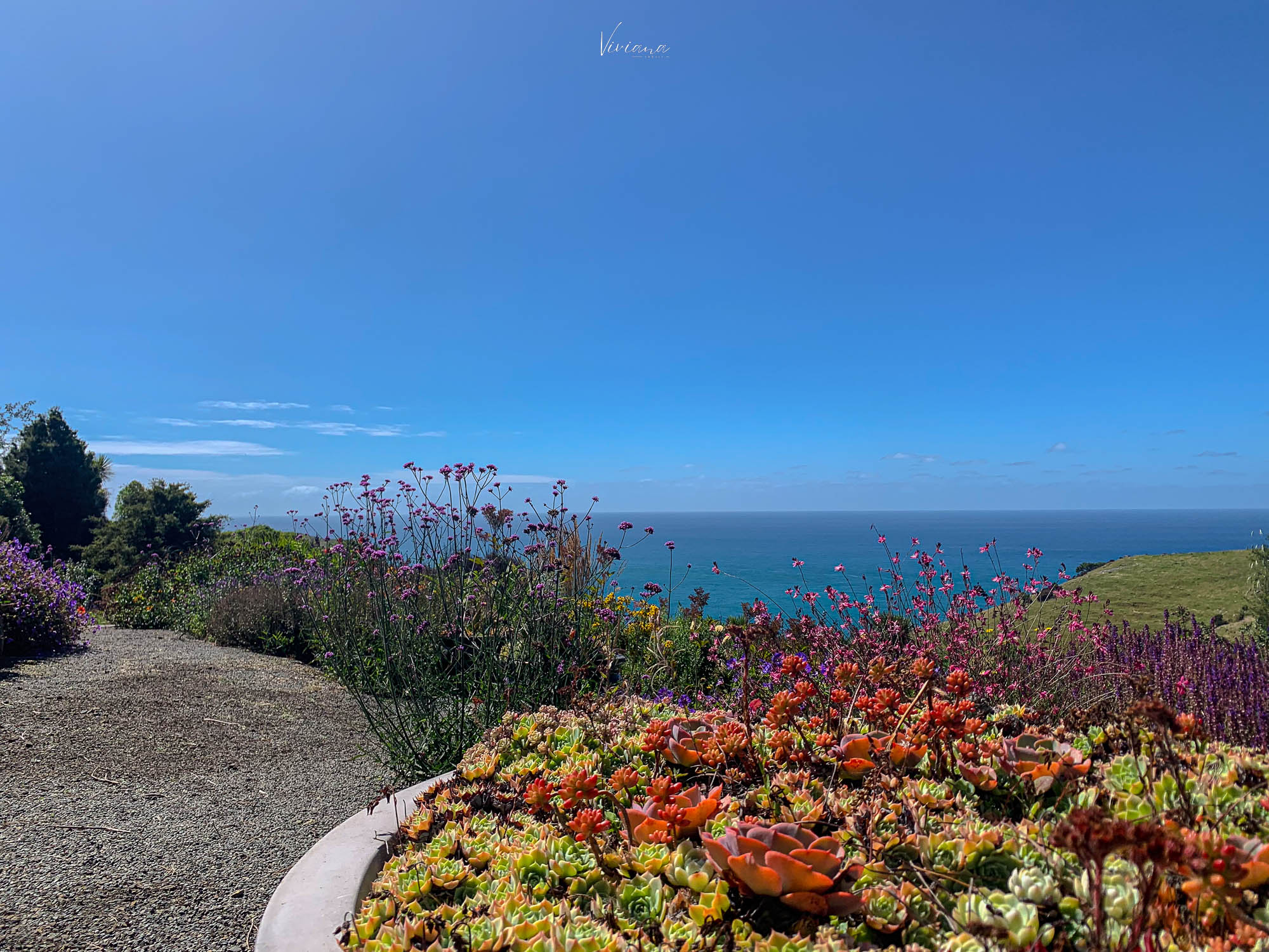 fishermans bay garden 紐西蘭