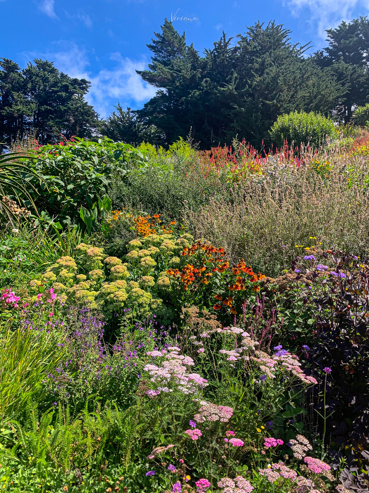fishermans bay garden 紐西蘭