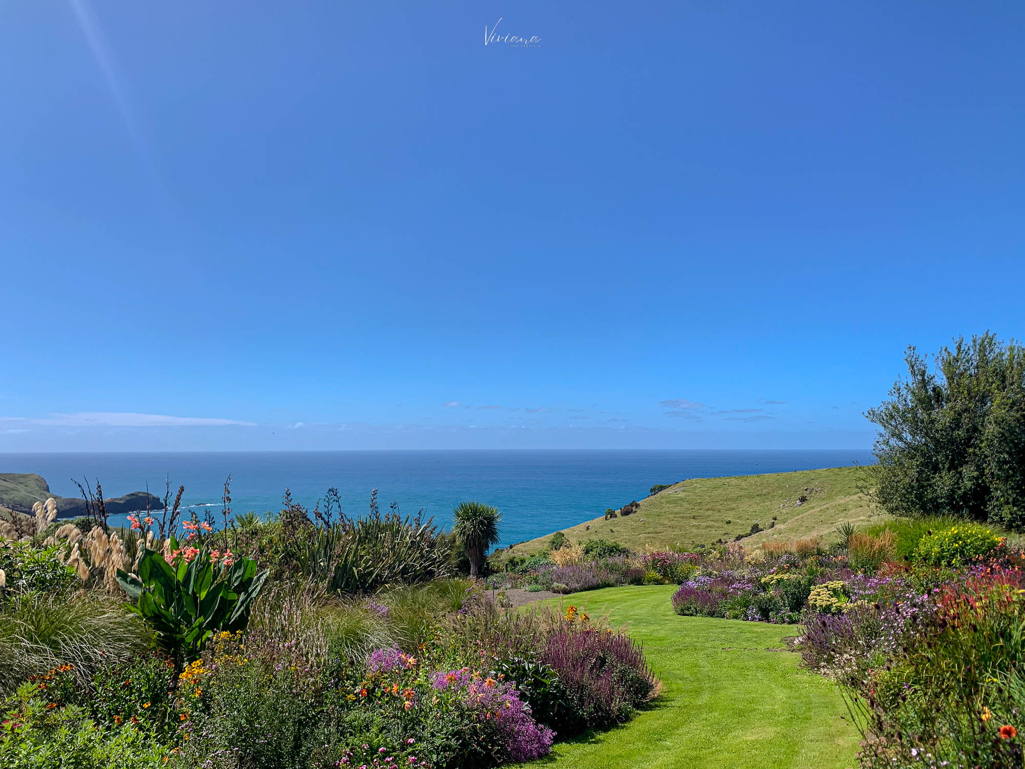 fishermans bay garden 紐西蘭