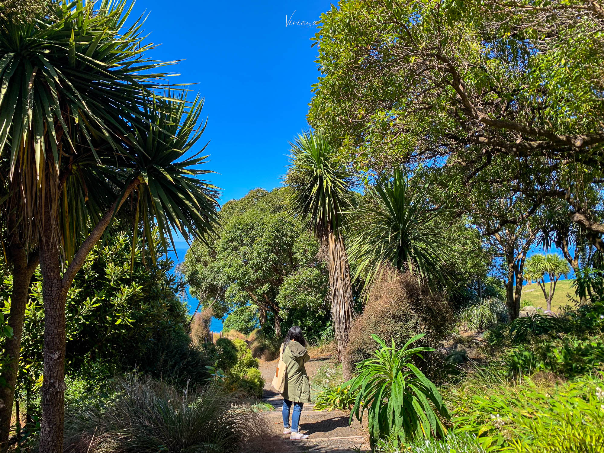 fishermans bay garden 紐西蘭